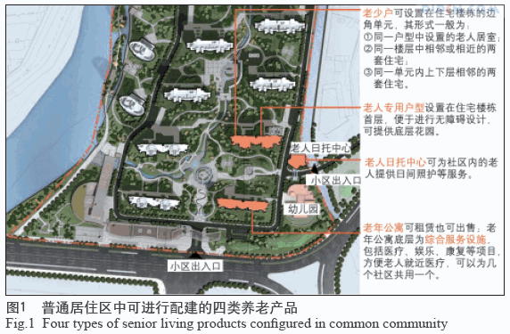 养老社区的规划问题、规划原则和设计建议